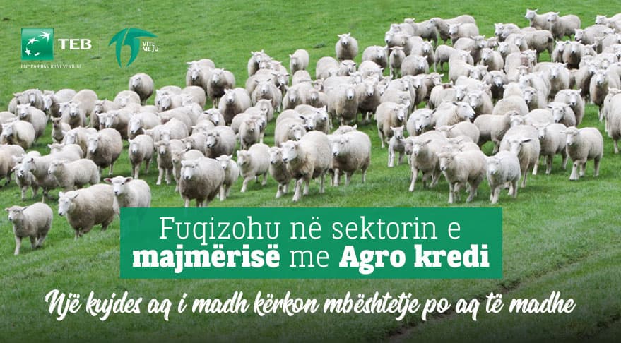 Rritu me ne. Zhvillo vendin! Fuqizohu në sektorin e majmërisë me agro kredi